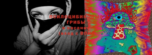 Альфа ПВП Протвино