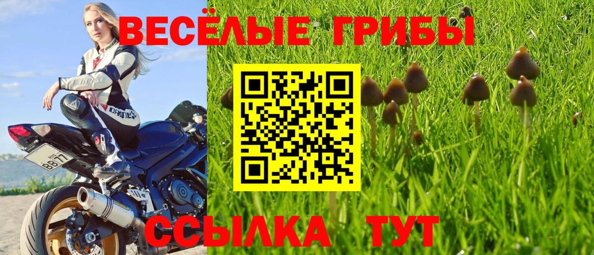 Псилоцибиновые грибы мицелий Соликамск