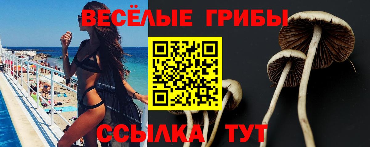Псилоцибиновые грибы Psilocybe  Вход с VPN  Соликамск 
